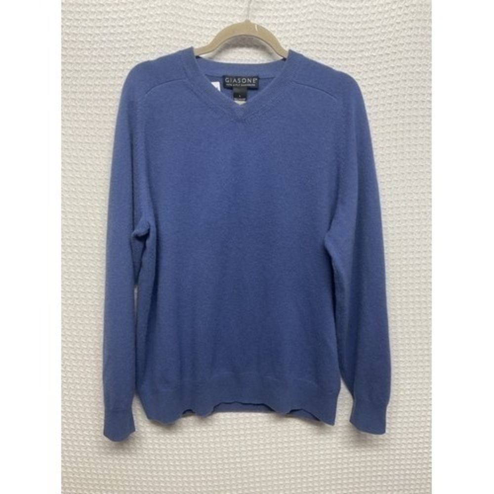 Giasone Blue Soft Long Sleeve V-Neck Sweater Men L China 100% 2 Ply Cashmere